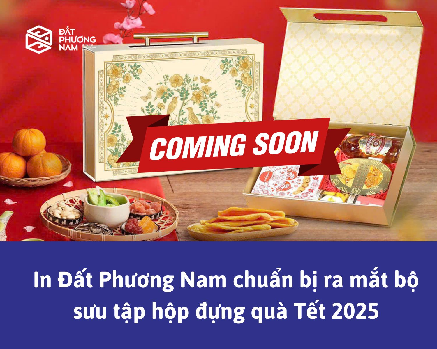 In Đất Phương Nam chuẩn bị ra mắt bộ sưu tập hộp đựng quà Tết 2025