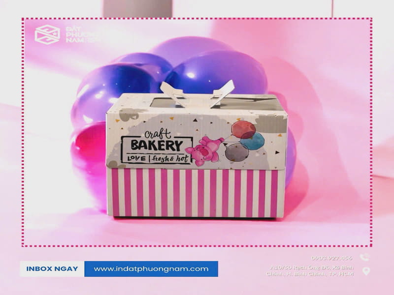 Bộ Sưu Tập Hộp Bánh Kem Màu Pastel