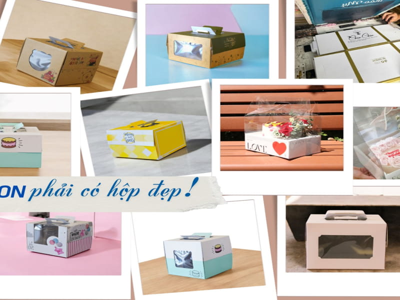Bộ Sưu Tập Hộp Bánh Kem Màu Pastel