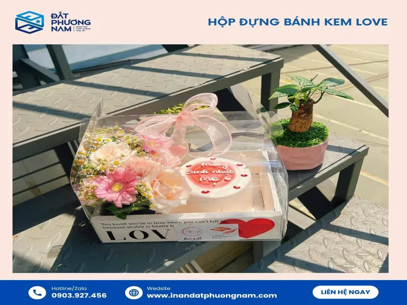 Hộp bánh kem có tái sử dụng được không mẫu mica trong suốt