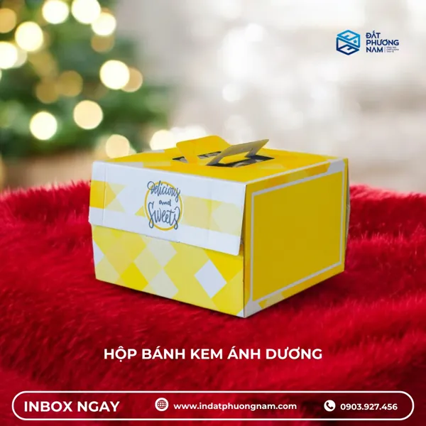 Hộp đựng bánh kem vuông Ánh Dương rực rỡ